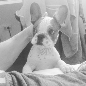 Charlie