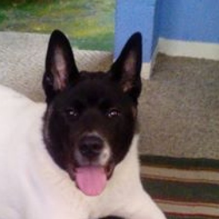 Grady